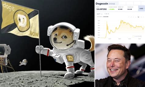 53 Dogecoin To The Moon Drop Meme