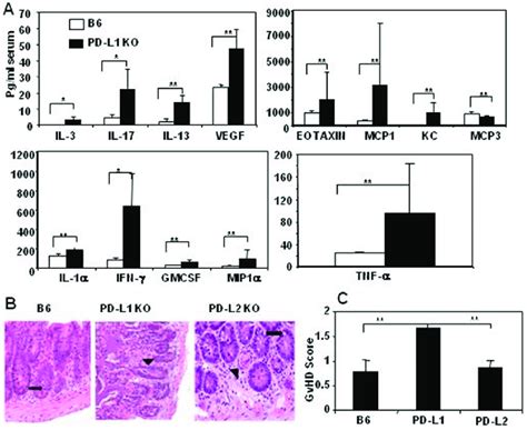 Severe Acute Gvhd In Pd L1 Ko Allo Hsct Recipients Is Associated With