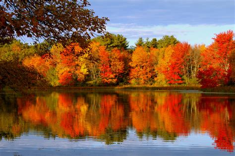 Autumn Trees Reflected In Lake