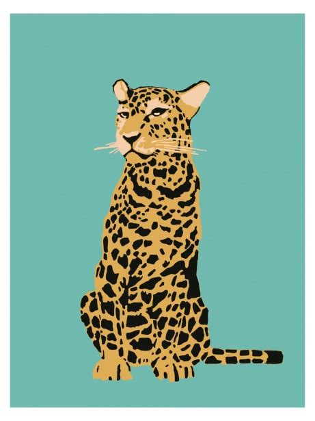 Leopard Poster Print Free Stock Photo Public Domain Pictures