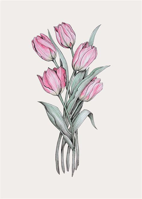 Bouquet Of Tulips Art Print By Olga Shashok Tulips Art Tulip Tattoo