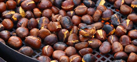 Easy Steps To Roast Chestnuts At Home No Open Fire Needed Farmers