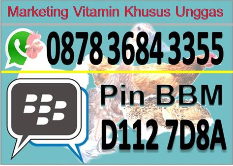 Check spelling or type a new query. Trik menguntungkan ternak unggas: Marketing Vitamin khusus ...