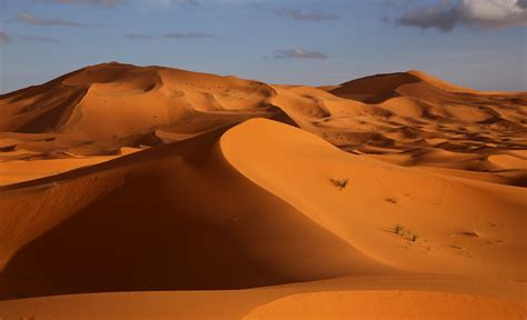 X X Nature Landscape Desert Dune Sand Wavy Lines Minimalism Wallpaper