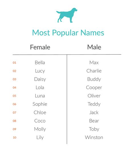What Are The Most Common Pet Names Nom Nom
