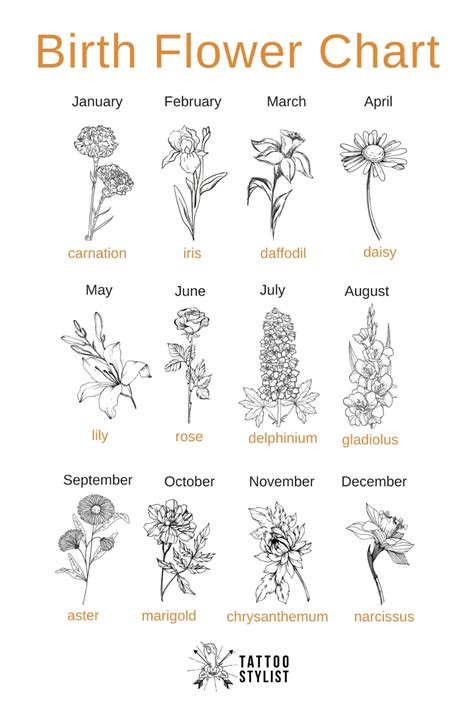 Birth Flower Chart Infographic Birth Flower Tattoos Birth Flowers