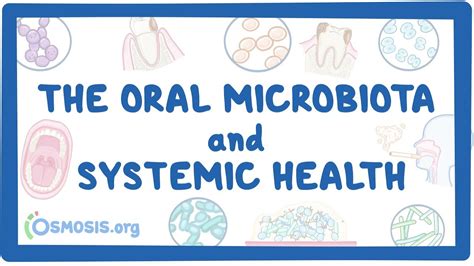 The Oral Microbiota And Systemic Health Osmosis Video Library