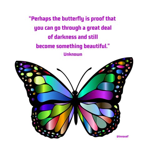 Perhaps The Butterfly Is Proof That You Can Go Through A Great Deal Of