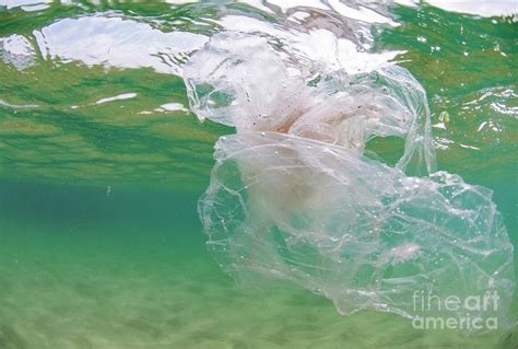 Plastic Floating In Ocean Photograph By Andy Daviesscience Photo