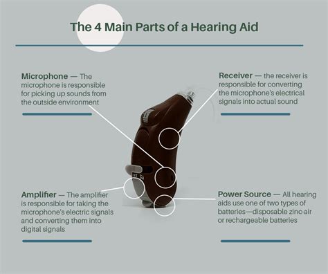 Hearing Aids 101 Parts Functions And Types Of Hearing Aids