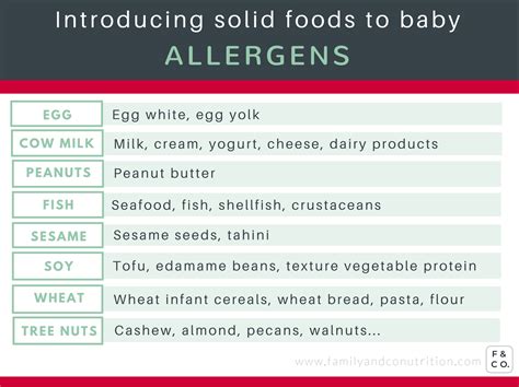 How To Introduce Allergenic Foods To Baby Free Allergen Safety Guide