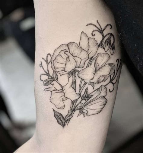 Top 50 Unique Sweet Pea Flower Tattoo Ideas Surprise With Second