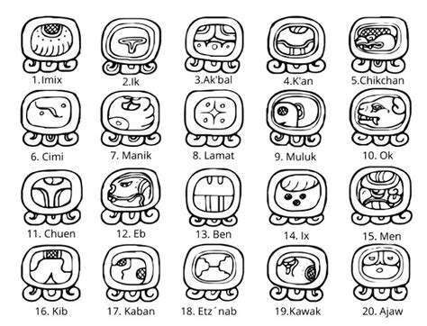 Once Nudo Segundo Calendario Maya Simbolos Significado Interconectar