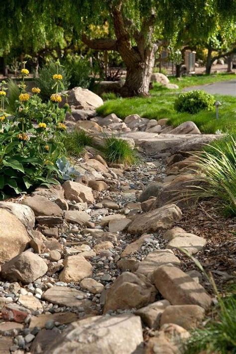 Desert Landscaping Backyard Landscaping Creek Bed Landscaping With