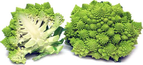 Rare And Unseen Vegetables Romanesco Infy World