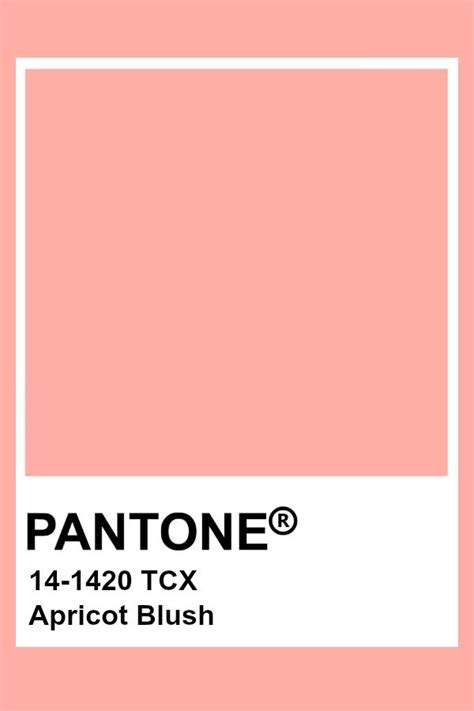 Pantone Apricot Blush Pantone Palette Pantone Color Pantone Colour