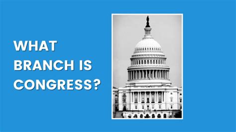 What Branch Of The United States Government Is Congress