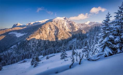 Nature Landscape Winter Snow Mountain Forest Sunset