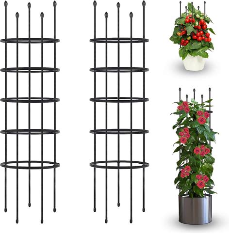 Cage à Tomates Cage De Support Pour Plantes Support De Plante De