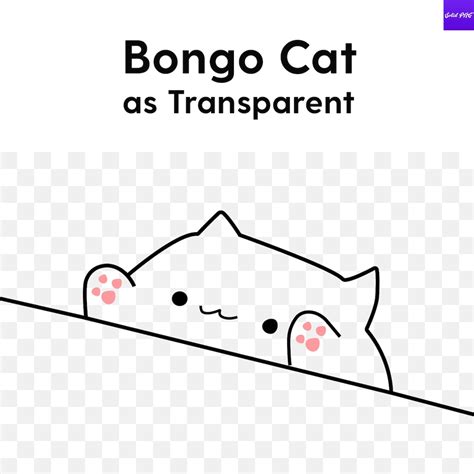 Bongo Cat As Transparent Etsy