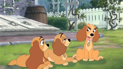 What Are The Names Of The Puppies In Lady And The Tramp 2 Pets Lovers