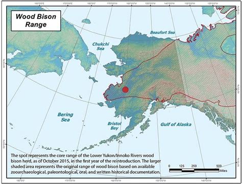 Wood Bison Range Map Gulf Of Alaska Alaska Bison