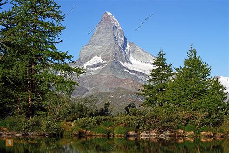 Matterhorn Mit Grindjisee Wildlife Media Die Naturbildagentur