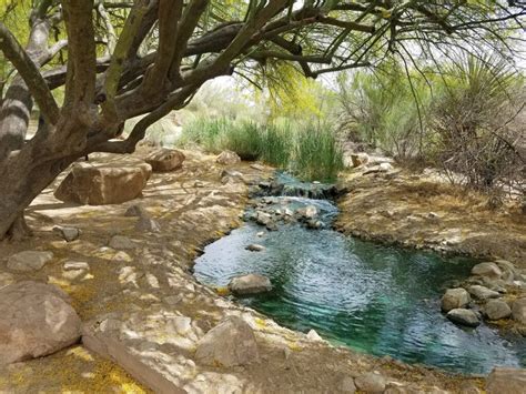 Riparian Preserve At Water Ranch Gilbert Arizona Top Brunch Spots