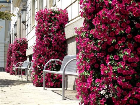 Check spelling or type a new query. How to Make a Flower Tower | The garden!