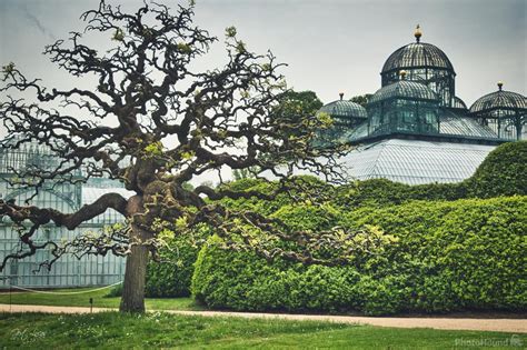 Image Of Royal Greenhouses Laeken By Gert Lucas 1019548