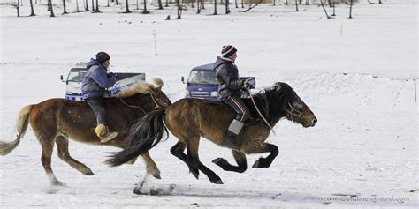 Winter Festivals Mongolia Zendmen Travel Mongolia