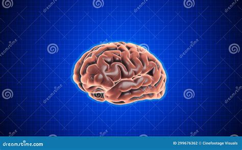 Animation Of Rotating Brain With Grid On Dark Blue Background Stock