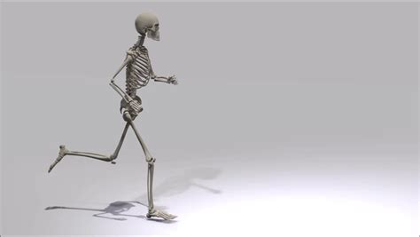 Running Skeleton Stock Video Footage 4k And Hd Video