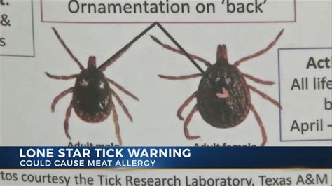 Tick That Causes Red Meat Allergy Headed For Central Ohio Youtube