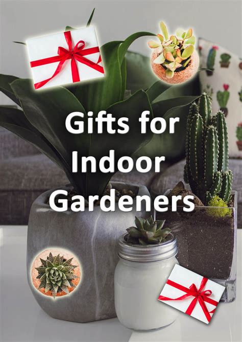 14 Great Ts For Indoor Gardeners Cool Garden Gadgets