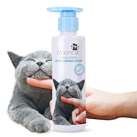 How To Clean Cat Chin Acne My Pets Guide
