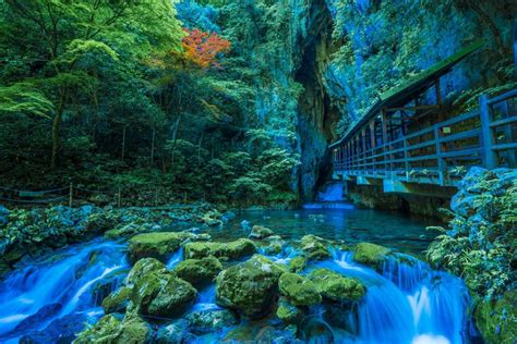 Akiyoshi Cave｜caves In Yamaguchi Prefecture