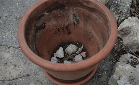 Old discarded boots or shoes are the base for your flower pot. Misha and Mia: My new obsession - Flower pot gardening