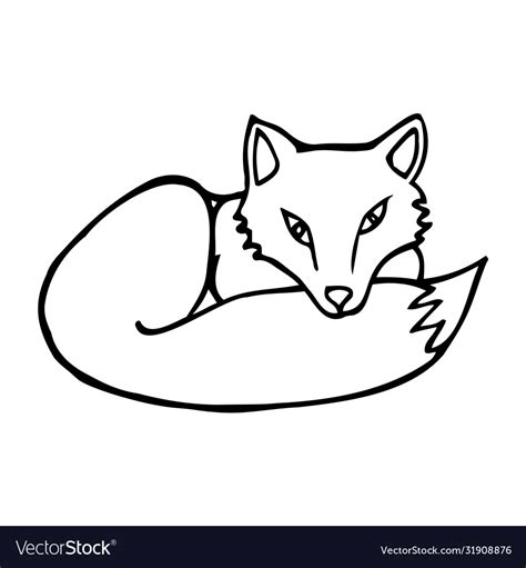 Hand Drawn Fox Cartoon Fox Outline Doodle Style Vector Image
