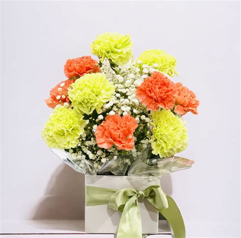 Traditional Carnations Beautiful Free Same Day Delivery
