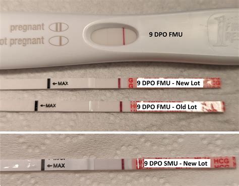 Update To Yesterdays Faint Line 9 Dpo Cd 27 Frer And Wondfo Im