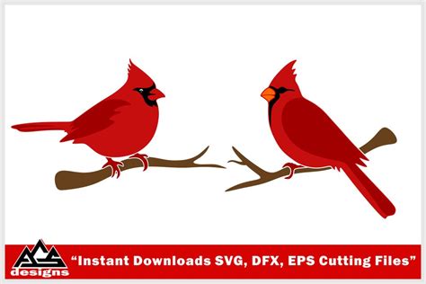 Cardinal Bird Svg Design 373348 Cut Files Design Bundles