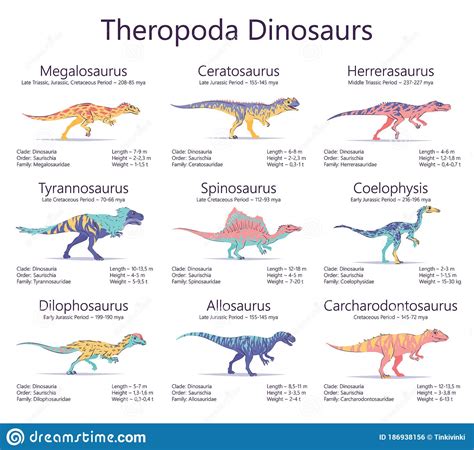 Theropoda Dinosaurs Colorful Vector Illustration Of Dinosaurs Isolated