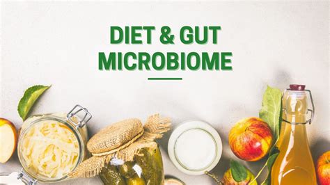 How Diet Influences Your Gut Microbiome