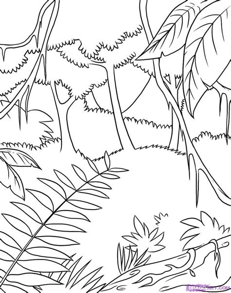 Safari Coloring Pages How To Draw A Rainforest Step Jungle