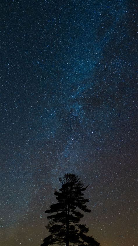 Download Wallpaper 1080x1920 Tree Starry Sky Night Dark Darkness