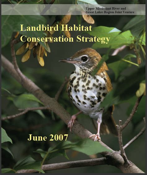 Landbird Habitat Conservation Strategy Upper Mississippi And Great