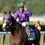 Breeders Cup 2014 Race Schedule Early Predictions And More 