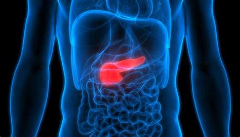 Latest Advances In Pancreatic Cancer Treatments Johns Hopkins Medicine