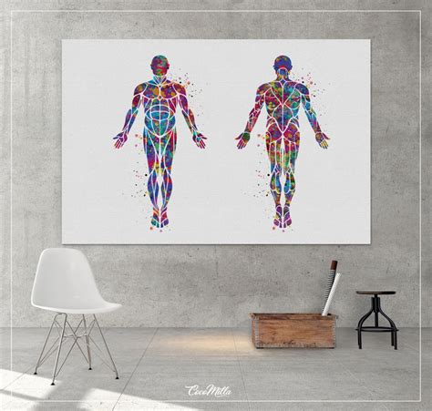 Muscular System Watercolor Human Body Anatomy Art Medical Art Medicine